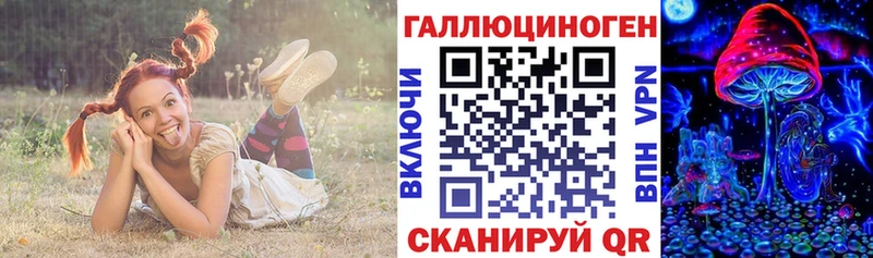 Галлюциногенные грибы прущие грибы  МЕГА ТОР  Алейск  купить наркоту 