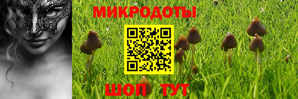 Галлюциногенные грибы ЛСД  Вход с VPN  Псилоцибиновые грибы ЛСД  Алейск 