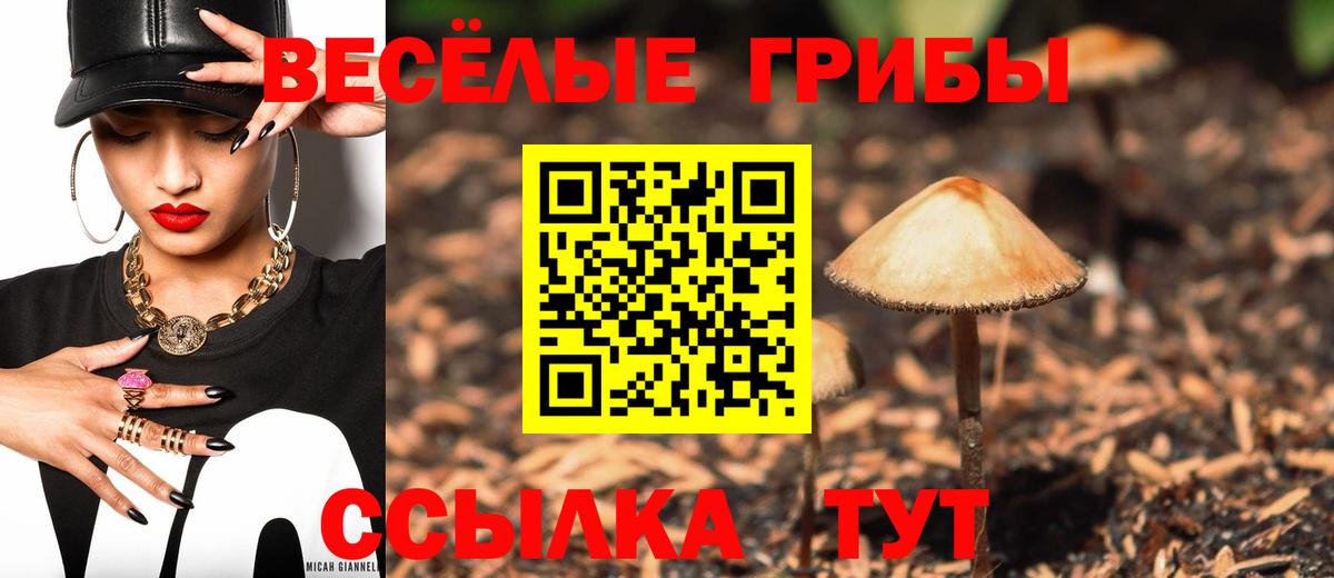 Галлюциногенные грибы прущие грибы Алейск