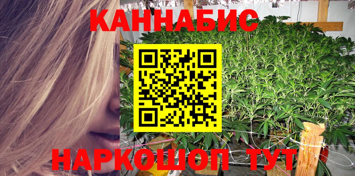 Бошки Шишки White Widow  Бошки Шишки индика  Вход с VPN  Алейск  Каннабис план  МАРИХУАНА конопля 